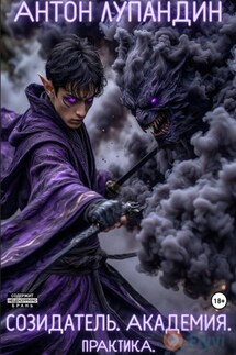 Созидатель. Академия. Практика