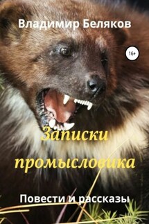 Записки промысловика. Повести и рассказы - Владимир Беляков