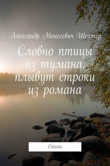 Словно птицы из тумана, плывут строки из романа. Стихи - Александр Шехтер