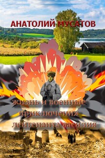 Жизнь и военные приключения лейтенанта Василия - Анатолий Мусатов