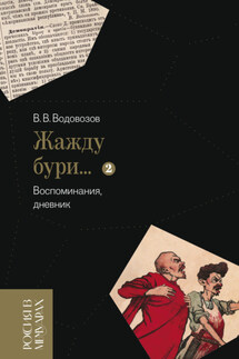 «Жажду бури…». Воспоминания, дневник. Том 2 - Василий Водовозов