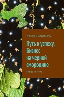Путь к успеху. Бизнес на черной смородине. Бизнес на земле - Алексей Сабадырь