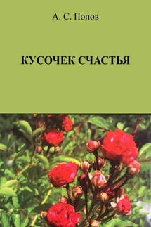 Кусочек счастья - Александр Попов