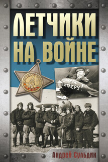 Летчики на войне - Андрей Сульдин