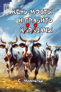 Жечь мосты и грабить корованы - Егор Михнегер