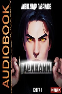 Ари Ками. Книга 1 - Гаврилов Александр