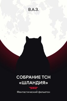 Собрание ТСН «Шландия» - Валерий Загорулькин