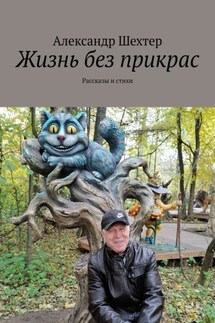 Жизнь без прикрас. Рассказы и стихи - Александр Шехтер