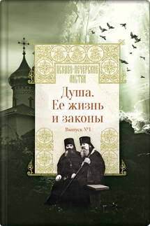 Душа. Ее жизнь и законы - Н. Котова