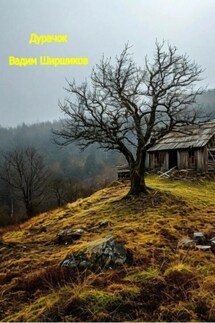 Дурачок - Вадим Ширшиков