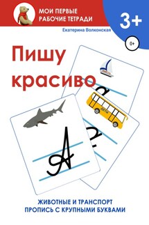 Пишу красиво. Мои первые рабочие тетради - Екатерина Волконская