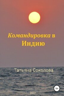 Командировка в Индию - Татьяна Соколова