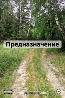 Предназначение - Борис Цеханович