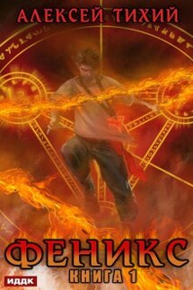 Феникс. Книга 1 - ИДДК