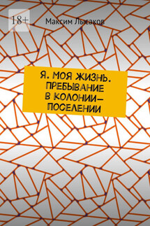 Я. Моя жизнь. Пребывание в колонии-поселении - Максим Лысаков