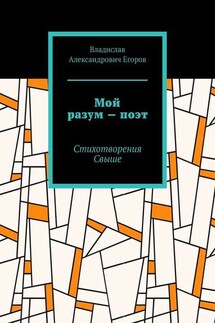 Мой разум – поэт. Стихотворения Свыше - Владислав Егоров
