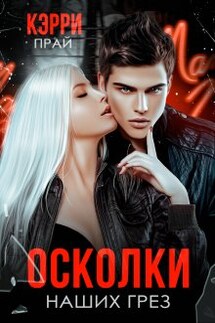 Осколки наших грез  - Кэрри Прай