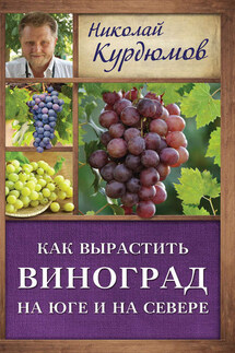 Как вырастить виноград на Юге и на Севере - Николай Курдюмов