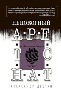 Непокорный арестант: от «Кащенко» до «Бутырки». Часть 2 - Александр Шестун