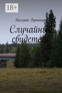 Случайный свидетель - Валерий Бронников
