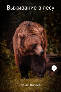 Выживание в лесу - Денис Кореев