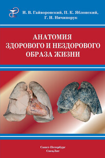 Анатомия здорового и нездорового образа жизни атлас - Петр Казимирович Яблонский, Геннадий Иванович Ничипорук