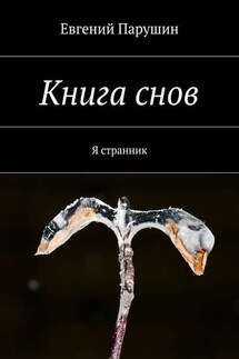 Книга снов - Евгений Парушин