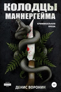 Колодцы Маннергейма - Денис Воронин