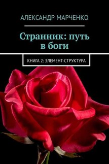 Странник: путь в боги. Книга 2: элемент-структура - Александр Марченко