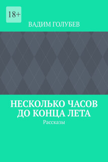 Несколько часов до конца лета. Рассказы - Вадим Голубев