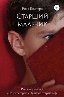 Старший мальчик - Рона Цоллерн