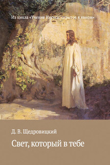 Свет, который в тебе - Дмитрий Щедровицкий