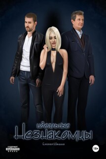 Идеальные незкомцы - Евгения Шамшина