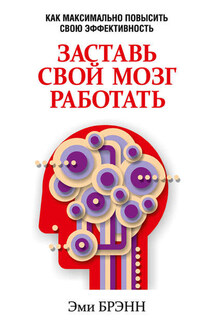 Заставь свой мозг работать. Как максимально повысить свою эффективность - Эми Брэнн