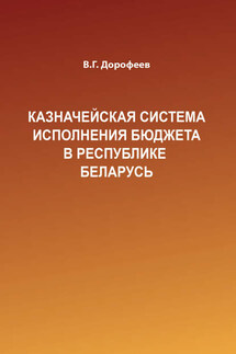 Казначейская система исполнения бюджета в Республике Беларусь - Вячеслав Дорофеев
