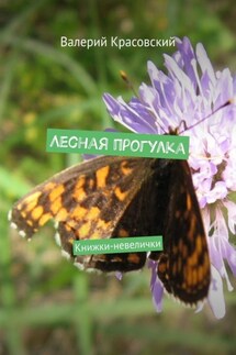 Лесная прогулка. Книжки-невелички - Валерий Красовский