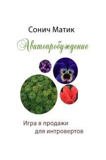 Авитопробуждение. Игра в продажи для интровертов - Сонич Матик