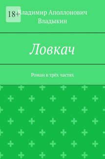Ловкач. Роман в трёх частях - Владимир Владыкин