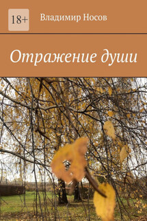 Отражение души - Владимир Носов