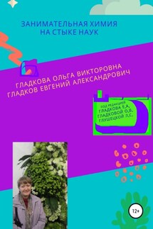 Занимательная химия на стыке наук - Ольга Викторовна Гладкова, Евгений Александрович Гладков