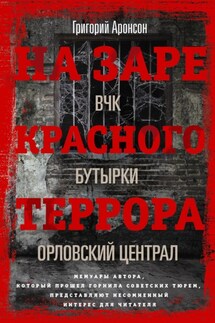 На заре красного террора. ВЧК – Бутырки – Орловский централ - Григорий Аронсон