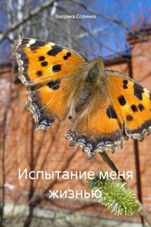 Испытание меня жизнью - Виорика Солинка