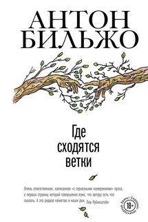 Где сходятся ветки - Антон Бильжо