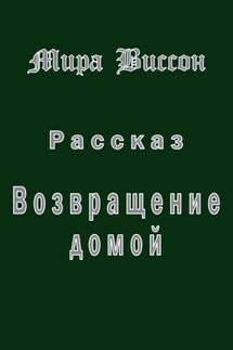 Возвращение домой - Мира Виссон