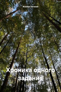 Хроника одного задания - Евгений Жиляев