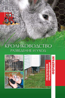 Кролики. Разведение и уход - А. Шабанов