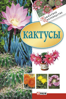 Кактусы - Мария Згурская