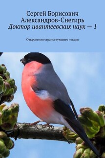 Доктор ивантеевских наук – 1. Откровения странствующего лекаря - Сергей Александров-Снегирь