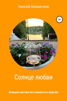 Солнце любви - Николай Шахмагонов