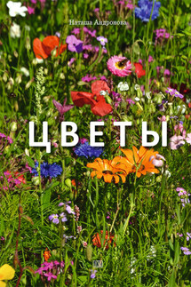 Цветы - Наташа Андронова